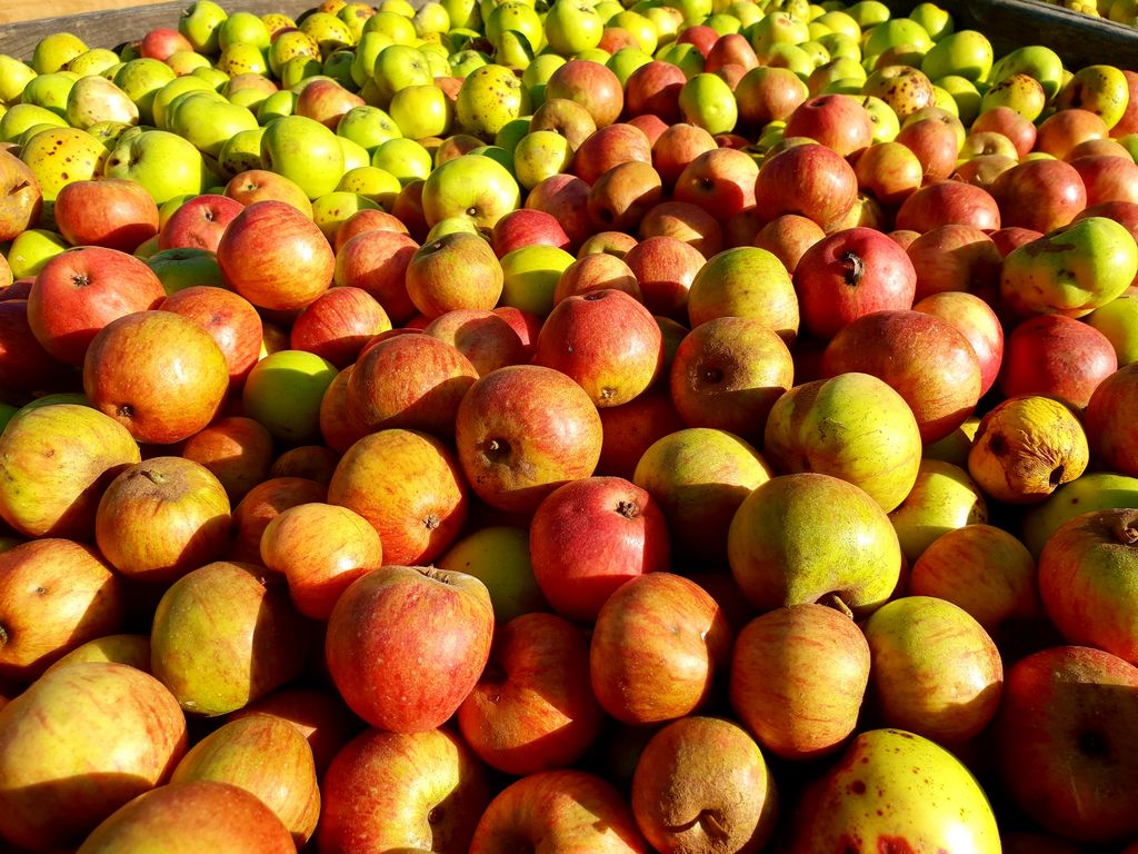 Palmarès Concours Général Agricole 2024